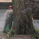 Weston  Arborists - Landscaping & Lawn Services