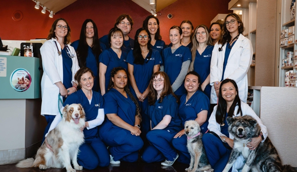 VCA Vets & Pets Animal Hospital - Santa Clara, CA