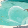 Fort Myers Neighborhood Pool Cleaners gallery
