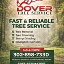 Dover Tree Service - Tree Service