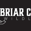 Briar Creek Wildlife gallery