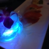 Mitsuba Hibachi & Sushi Restaurant gallery