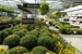 Garden Center at The Home Depot - Garden Centers