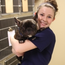 Flanary  Veterinary Clinic KENTUCKY - Veterinarians