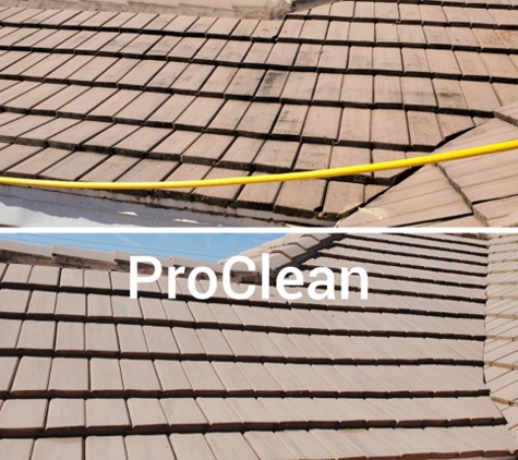 Tampa Bay Roof Cleaning - Tampa, FL. Roof Cleaning Tampa