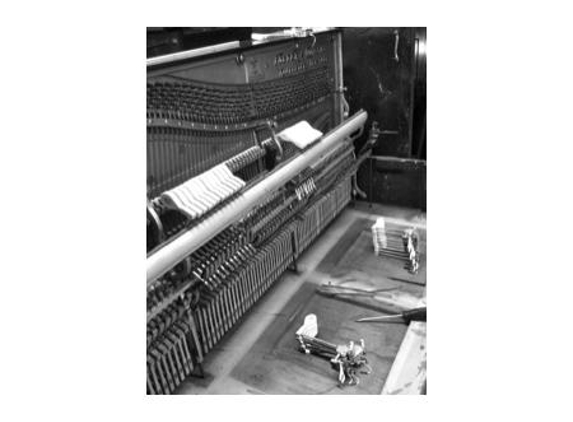 Emanuel Rey Mobile Piano Builder & Technician - Winmalee, NSW