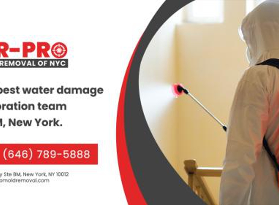 MR-Pro Mold Removal of NYC - New York, NY