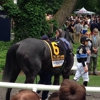 Belmont Park Race Track gallery