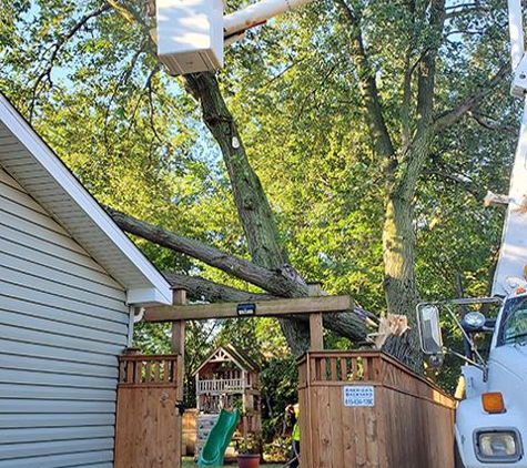 Angeles Tree Service, Inc - Aurora, IL