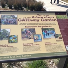 UC Davis Arboretum