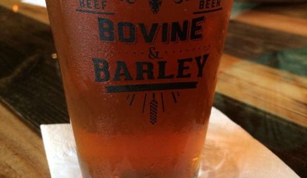 Bovine & Barley - Houston, TX
