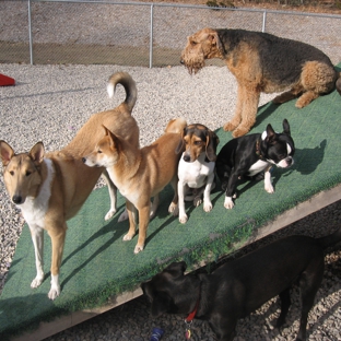 Roaring Brook Kennels - Canton, CT