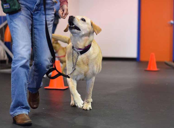 Zoom Room Dog Training - Overland Park, KS