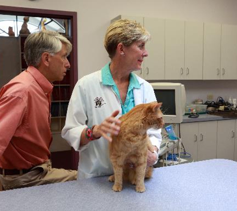 Abbeywood Cat Hospital - Westmont, IL