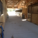 Blue Spring Farm - Stables