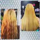 Xtasis Beauty Salon & Hair Extension Center