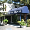 The Cat Hospital gallery