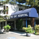 The Cat Hospital