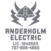 Anderholm Electric gallery
