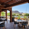 Saguaro Blossom gallery