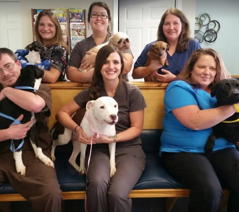 Ark Animal Hospital - Hiram, GA