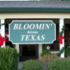 Bloomin' Across Texas gallery