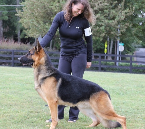 Appleridge German Shepherds - Griffin, GA