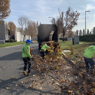 Premier Tree Experts - Orange, CA