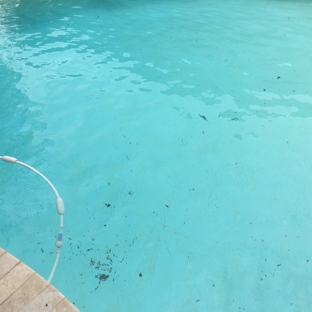 Hammond’s Pool Service, LLC - Port Neches, TX. Before