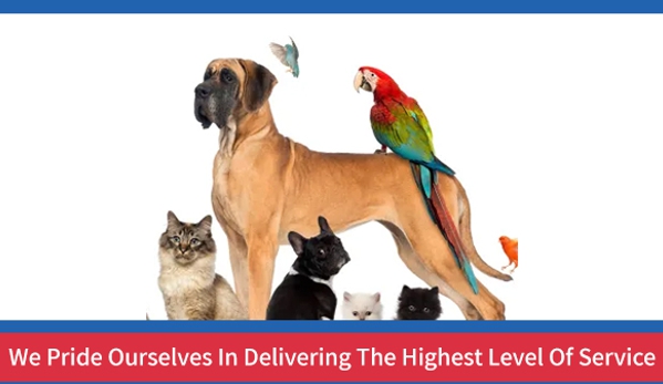 Kempsey Veterinary Clinic - Kempsey, NSW. We Pride Ourselves In Delivering The Highest Level Of Service