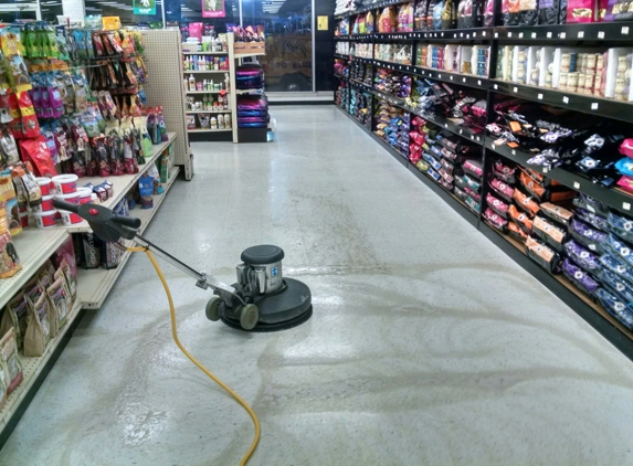 Extreme Clean Carpet & Floor Care - Normal, IL