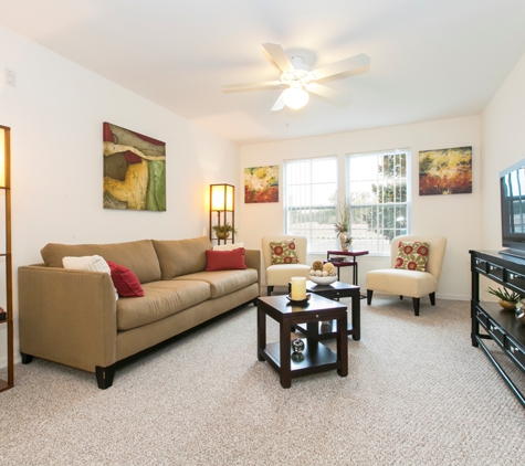 Richey Woods Apartments - New Port Richey, FL