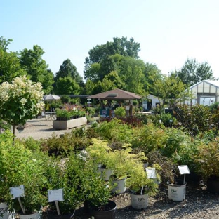 Spring Bluff Nursery CSA - Sugar Grove, IL