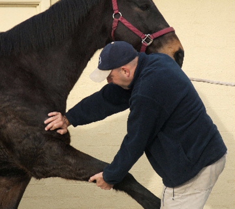 Back Into Action Osteopathic Group - Macleod, VIC