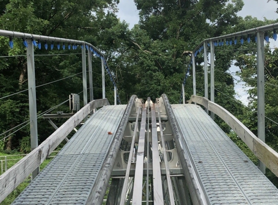 Rowdy Bear Mountain Coaster - Gatlinburg, TN