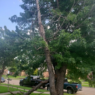 Texas Treehouse Tree Service & Stump Grinding - Mesquite, TX. Tree Removal In Mesquite,Tx