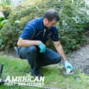 American Pest Solutions - Pest Control Services
