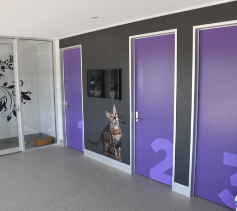 PetFocus Vetcare - Lavington, NSW