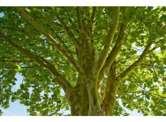 Victor Rullis Funeral Services - Coffs Harbour, NSW