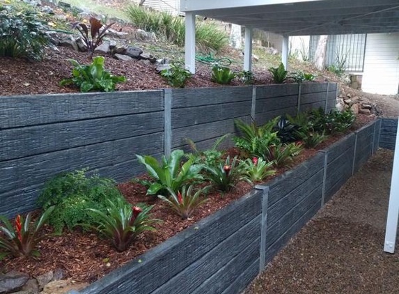 Showcase Landscapes - Camp Hill, QLD