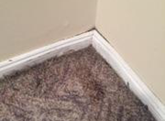 Quality Building Reports - Benowa, QLD. Clearly visible water damage.