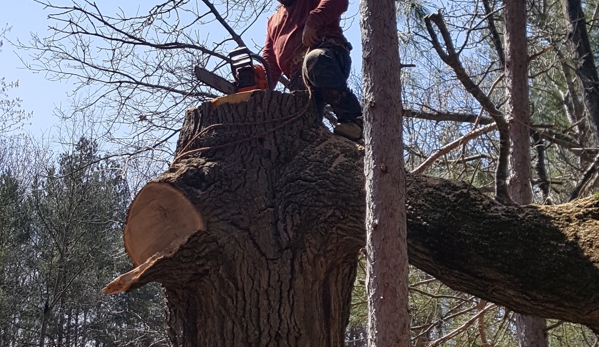 Triplowskis tree service - Reed City, MI