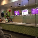 YogurtLand