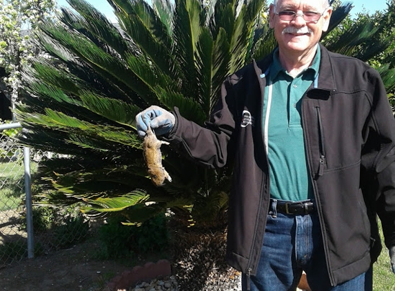 The Gopher Guy - Oakley, CA