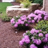 Alive Landscaping gallery