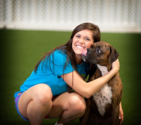 Savvy Paws Pet Resort - Canton, GA