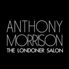 The Londoner by Anthony Morrison
