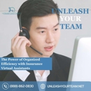 Unleash Your Team - Insurance Consultants & Analysts