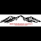 BSH Insurance Agency