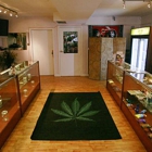 Treasure Tree Dispensary